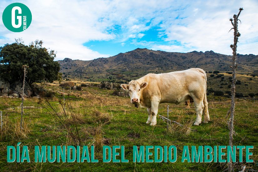 Día Mundial del Medio Ambiente