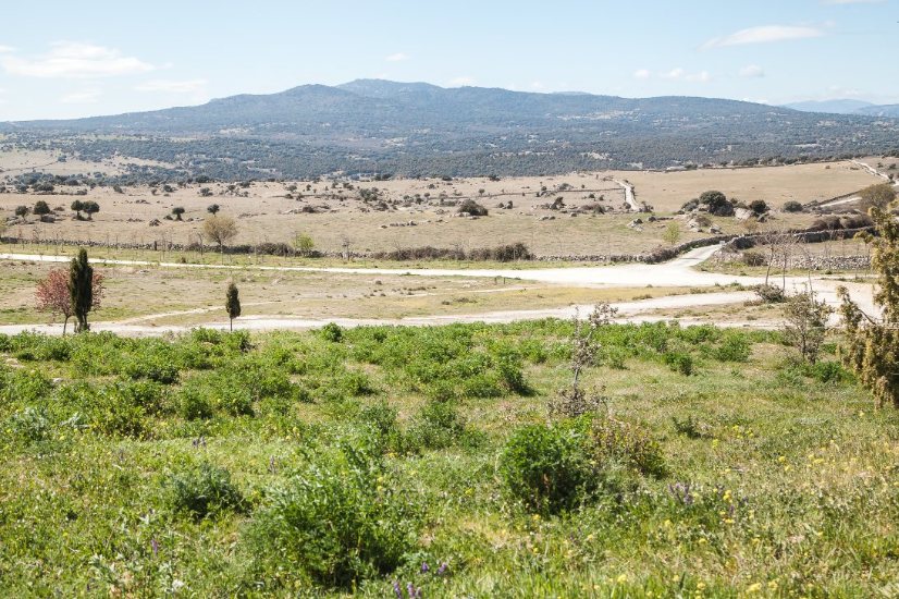 Biodiversidad y Medio Rural