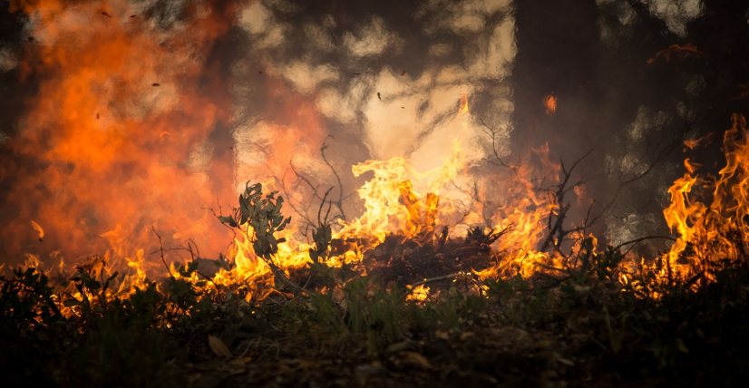 Apuntes de Ganemos Colmenar sobre el Incendio Forestal de Tres Cantos