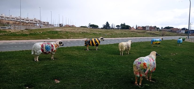 Ganemos insiste: el suelo público para Escuela Pública