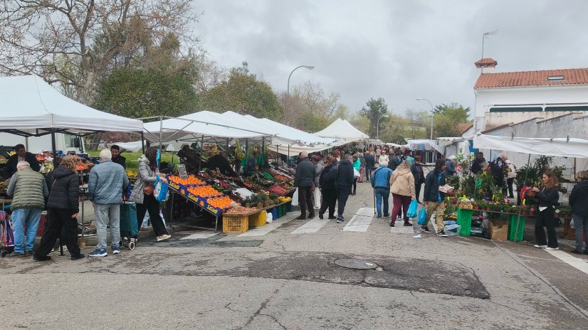 El Gobierno Municipal no puede cambiar unilateralmente la ubicación del mercadillo